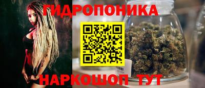 спиды Краснодар